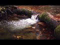 Relaxing music with beautiful waterstream ambiance for meditation 4K