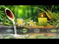 Music to Relax the Mind + Yoga, Sleeping Music for Meditation, Relaxing Sleep Music, Zen,Water Sound