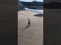 Wing Walker dances plane onto Tarmac
