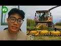 50The Most Modern Agriculture Machines That Are At Another Level, How To Harvest Watermelons In Farm