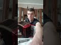 Faouzia - Fur Elise accordion/harmónika cover by Márk Kajla