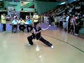 翻子拳 fanzi quan