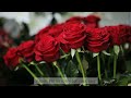 A condolence message for the loss of your grandmother | RIP message on death | Sorry for your loss