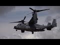 RIAT 2019 HIGHLIGHTS - Arrivals / Displays / Departures