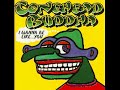 Conehead Buddha - Smiling