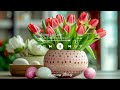A beautiful feast of spring through the piano - Fresh Morning | HAPPINESS MELODY