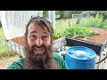 Starting an Aquaponics System | How to Start & What You Need