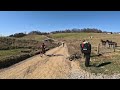 Paradise Gravel Sessions: Wooly Pig - Gravel Biking OH-11.12.2023