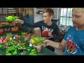 Plants vs Zombies Garden Warfare toys