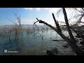 Sea of Galilee. The Lake of Jesus. A Tranquil Stroll Along the Shore.