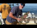 2024 Walleye Fishing trip on Lake Erie