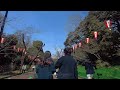 Explore Ueno Park Tokyo | Cherry Blossom Update #japan #tokyo #walkingtour #gardenwalk