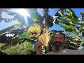 HOW TO GROW BANANAS