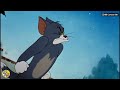 বুলডগের বড় বড় দাঁত /Tom And Jerry / টম এন্ড জেরি বাংলা / Tom And Jerry Bangla Cartoon