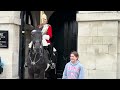 ARNIE the No nonsense Horse Reminds Silly TOURISTS who’s in Charge