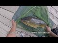 Toronto Urban Carp Fishing in Lake Ontario (DON'T DIVE IN THE WATER)