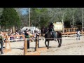 Sherwood Forest Faire 2011-Full Contact Jousting