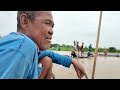 Nước tràn đập cả xóm kéo nhau dở chà bắt Cá Lăng từ Campuchia qua - Mùa nước nổi 2024