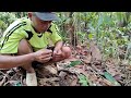 Kehidupan desa yang sederhana ll Mencari batang pancing tradisional