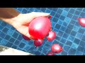 Bunch O Balloons Top Tips- Filling the balloons on a swimming pool