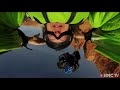 This Wingsuit Flyer Will Make You Pee Yourself | Scotty Bob Presents: New World Aviators, Ep. 1
