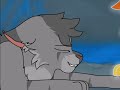 Poor Graystripe…(if you know what I mean)