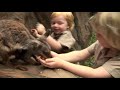 Young Robert Irwin ventures around Australia Zoo | Irwin Family Adventures