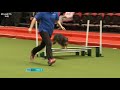 Agility - Crufts Team - Medium Final Part 1 | Crufts 2018