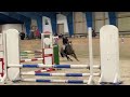 [Team Berwald] Rosa Dalmine & Frk. Flippa -LB1* stil Viborg Rideklub