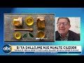 Shëron 26 sëmundje/ Si të njihni mjaltin bio, ekspertët zbulojnë 4 sekrete