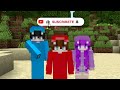 Desafío de LUCKY BLOCKS NOOB vs PRO vs HACKER (Minecraft)