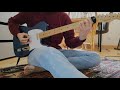 Rob Scallon - Rain (Cover) w/ Harley Benton Telecaster