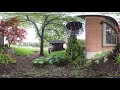 Squirrel file 12 injected 360VR 360 VR