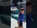 Learning Time with Beluga Whales