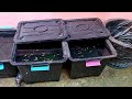 Bet You Will Start Keeping Guppies In Storage Boxes After Watching This!