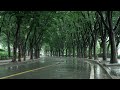 Rain sounds for relaxation and sleep. Sleep quickly & stop insomnia to Heavy Rain on the Road
