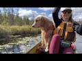Canoe Camping with Beginners, Algonquin Park Backcountry