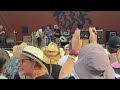 Powderfinger, Neil Young & Crazy Horse, New Orleans Jazz Festival, May 4, 2024