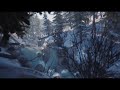 Life Is Strange 2 OST - A Moment of Calm -- Winter Woods - CLEAN - 1 Hour