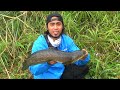Mancing ikan gabus besar di sungai besar Gak Nyangka bisa mendapatkan ukuran sangat besar