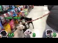 Buying EVERYTHING My DOGS Touch!