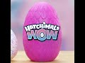 Hatchimals WOW - The BIGGEST Hatch Yet!