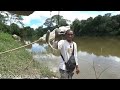 Surga para pemancing 01!! Gemetar jiwa pemancing saya, melihat banyak nya ikan di sungai ini