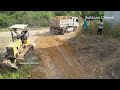 Wonderful Plan Filling Land By Operator Skill D31A Dozer Pushing Soil And 5Ton Truck Unloading Soil