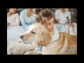 How to understand Dog's behaviour? | Tamil | Creative Classroom