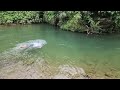 Looking for wild fruits along the stream and the ending