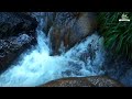BEAUTIFUL GOOD MORNING MUSIC - Wake Up & Stress Relief ➤Morning Music For Pure Clean Positive Energy