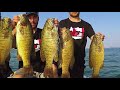 Smashing SHALLOW Summer Smallies on Swimbaits!