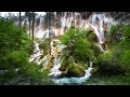2 Hours Relaxing Waterfall Nature Sounds Calming Birdsong Sound of Water Forest Relaxation