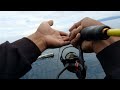 Perdana Reel Daido Black Bison Taklukan Skipjack || ULTRALIGHT JIGGING